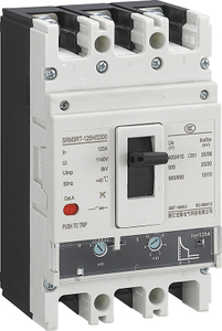 TM Disjuntor de caixa moldada ajustável 80a/100a/125a/160a 3p (3p+n) 0,7-1.0in